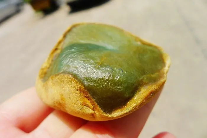 Natural Jade Rough Jadeite Raw (160g,6.3X5.7X3.1cm)