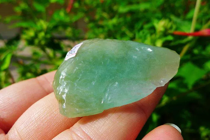 Natural Jade Rough Jadeite Raw (30g,4.4X4.2X1.25cm)