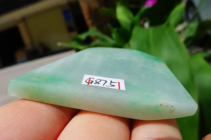 Natural Jade Rough Jadeite Raw (48g,5.2X4.3X1.15cm)