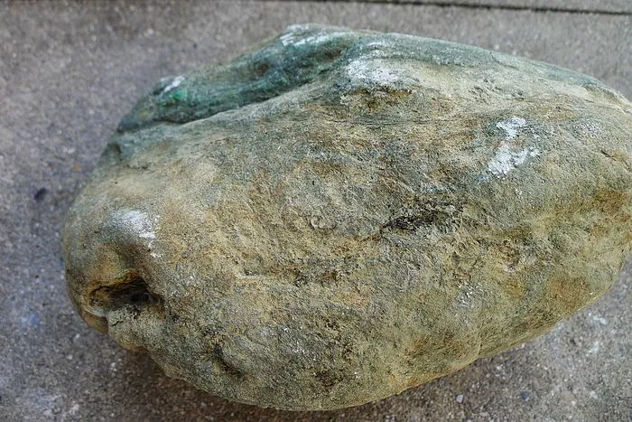 Natural Jade Rough Jadeite Raw (6.6kg,22X17X12cm)