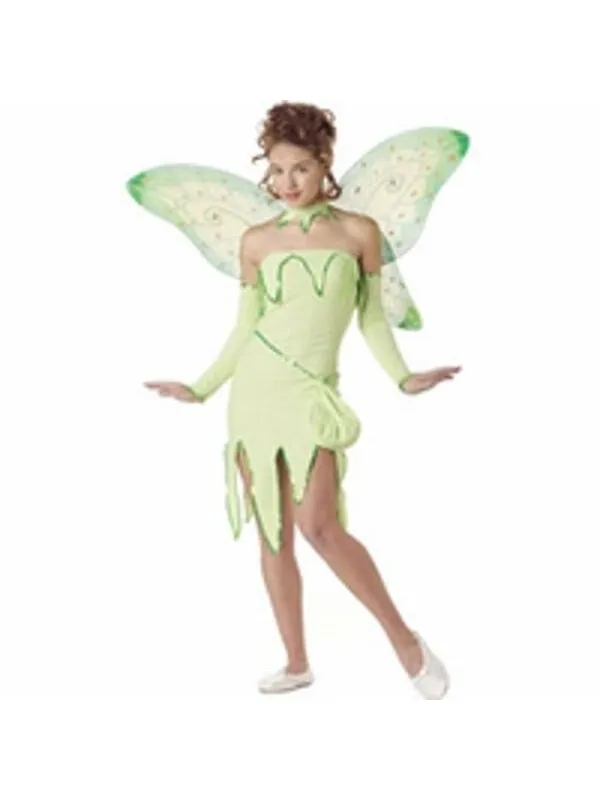 Teen Emerald Fairy Costume